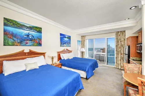 Spacious Studio with Open Floorplan and Kitchen - Charming Ocean View Escape