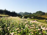Dao Lodge - Park Yeri