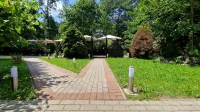 Schwanen-Resort - bar