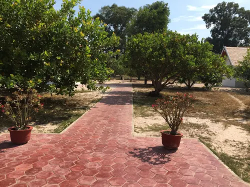 Dracaena Resort - Wi-Fi