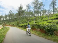 Olive Bungalow Hotels in Badulla