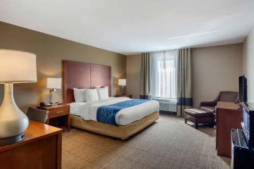 Comfort Inn South Chesterfield - Colonial Heights Hotels in Bermuda