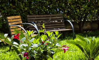 Il Giardino di Flora Con Piscina