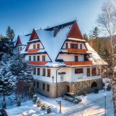 Pensjonat Telimena - Polskie Tatry S.A. Hotels near The Great Krokiew