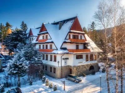 Pensjonat Telimena - Polskie Tatry S.A. Hotels near Prometheus Shot dead Monument
