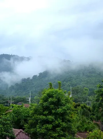 รูปภาพของท๊อฟฟี่ เฮ้าส์ รีสอร์ท