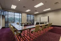 홀리데이 인 산마르코스-컨벤션 센터 지역 바이 IHG