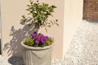 Caulfield Self Catering - Apartments