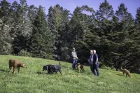 Inn at Schoolhouse Creek Hotels in Little River