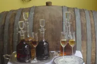 B&B Via Roma Hotels in Marsala