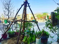 CoTo Family Homestay Hotels in 