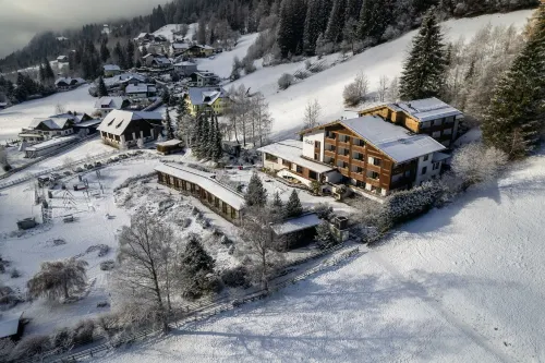 Hotel OTP Birkenhof Hotels in Dobriach