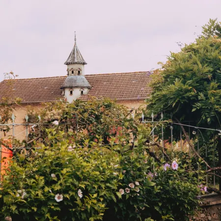 Le Lys Ecossais