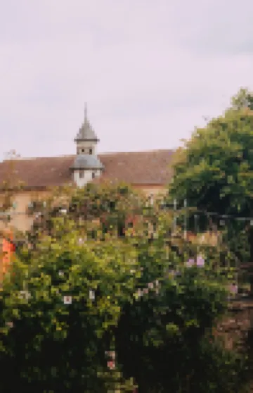 Le Lys Ecossais