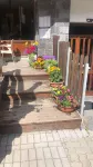 San Luigi Rooms & Apartments Отели в г. 