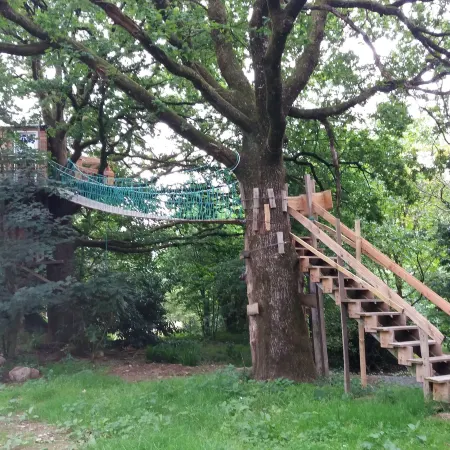 Cabane Dans les Arbres - le Nid Dans le Chêne