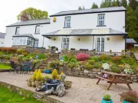 Llwyn Onn Guest House Отели в г. 