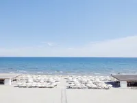 Hôtel Plage Palace & Spa - Lyx
