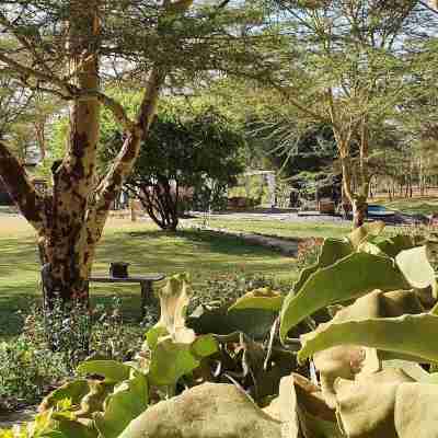 Swara Acacia Lodge Hotel Exterior