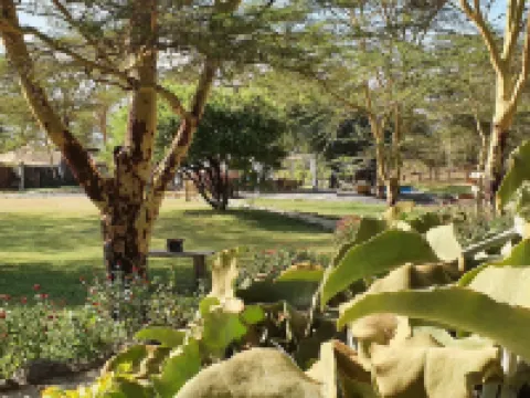 スワラ アカシア ロッジ アティ・リバーのホテル