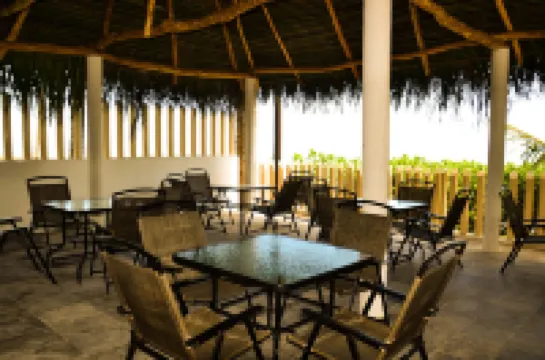 Bon Jesus Hotel Hotels in Tecolutla