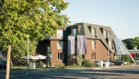 Hotel Trezor Hotels near El Nino