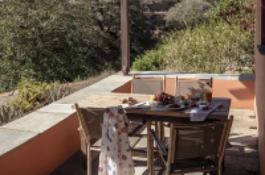 Under the Linden Tree Tinos