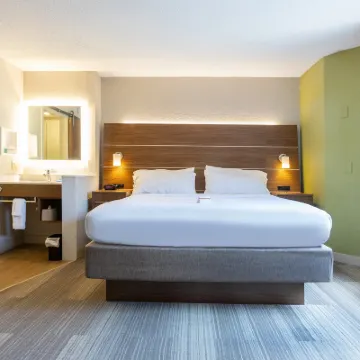 洲際酒店集團智選假日酒店 新奧爾良市中心 鄰近聖靈成孕教堂的酒店