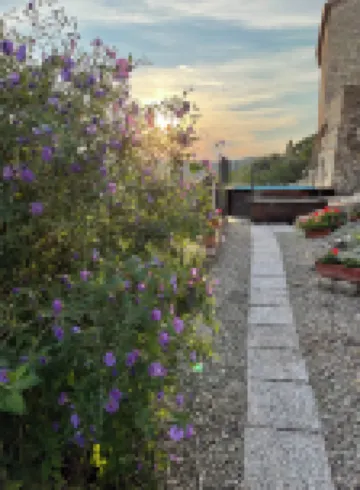 Tenuta di Montemassi Fattoria