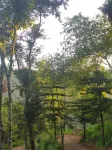 Disha plantation Resort