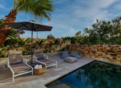 克萊門蒂娜帕羅斯