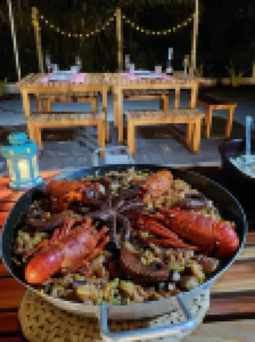 Laus Bangalôs Experience