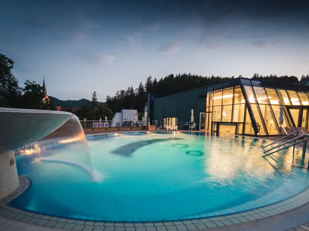 Boutique Hotel Dobrna - Terme Dobrna - Dobrna