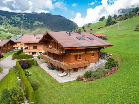 Chalet Alia and Apartments-Grindelwald by Swiss Hotel Apartments