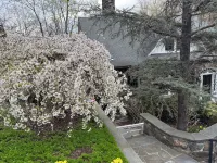 Fall Colors HQs. Stunning Views  of Croton River Gorge, a Birder Haven