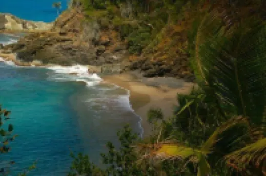 The Beach House on St. Thomas with Secluded Private Sand Beach