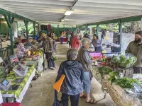 Volcano Village Historic Col-Villa