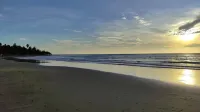 Modern Sustainable Surf Shack - La Saladita