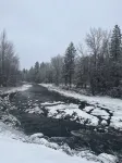 Cozy cabin on the Twisp River.  Just 5 minutes from town on Twisp River