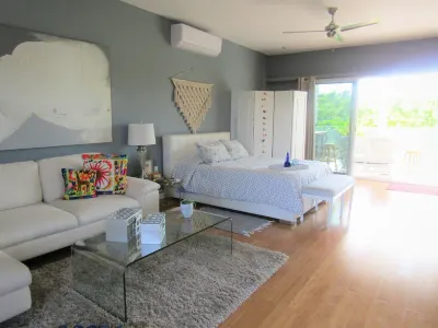 Spacious studio close to dowtown