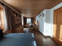 Apartment in Hochfugen With a Terrace