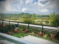 Ting'um  is the Spot to Stay on BANKS ROAD Hotel a North Palmetto Point