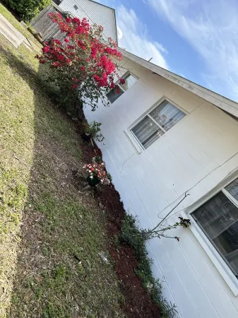 Vera Cottage 10 minutes from St Pete Downtown & Pier 2 bedrooms- 2 king 2 twin