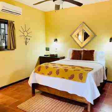 Paradise Awaits! Beach Bliss & Wildlife Thrills – Only 10 Minutes Away! Sleeps 3 Rooms