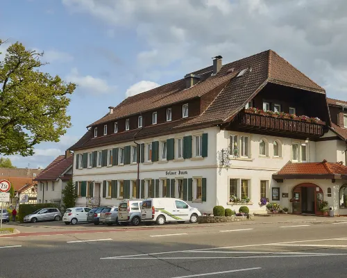 Flair Hotel Grüner Baum Hotels in Donaueschingen