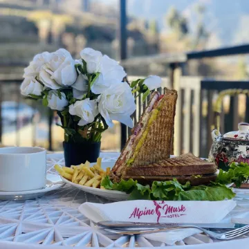 Hotel Alpine Musk