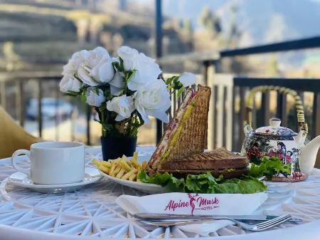 Hotel Alpine Musk Отели в г. Тери Рейндж
