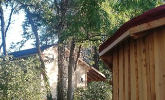 Des Branches & Vous