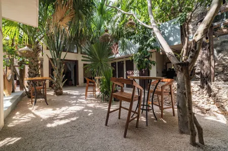 Japoneza Retreat Mérida Centro