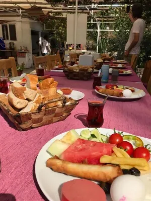 يوكاليبتس بينشن تناول الطعام Photos